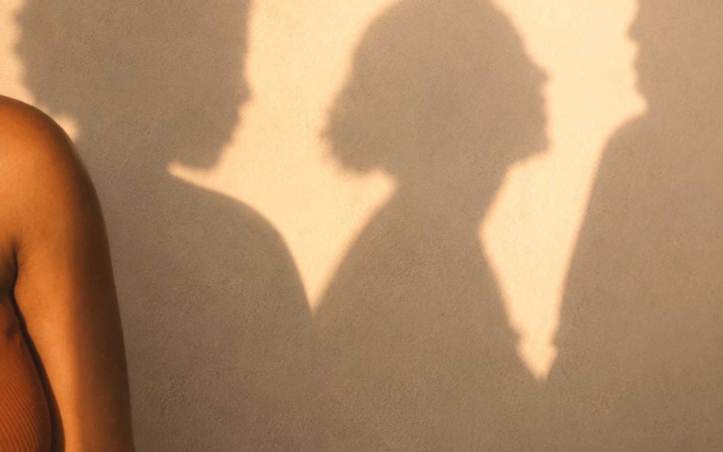 Two soft shadows on a sunlit wall